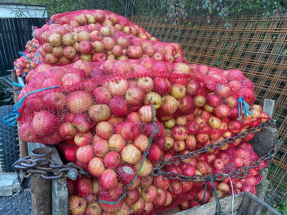 Mere industrie 1,5 lei neg