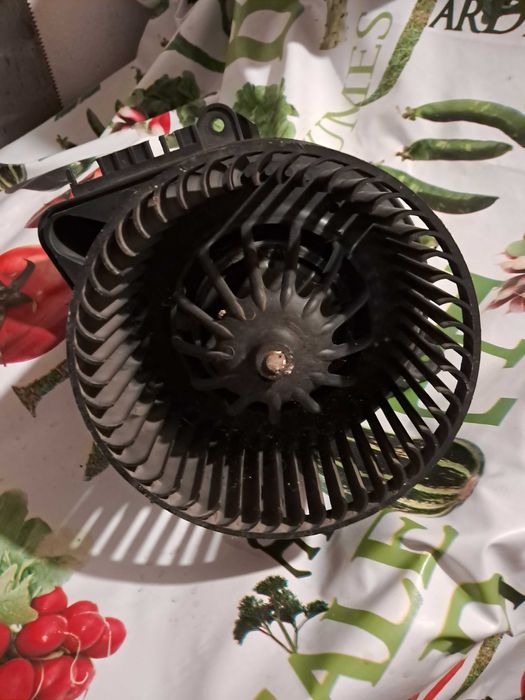 Рено Сценик на части