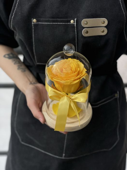 Роза под куполом