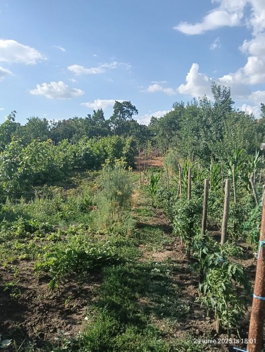 Casa de vânzare in loc.Unirea