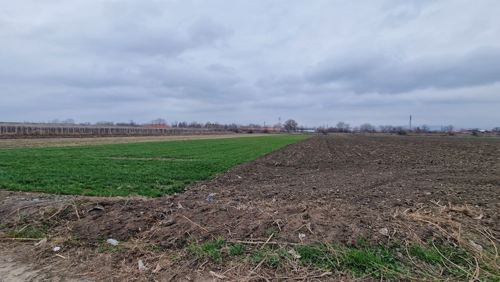 Vând teren intravilan în Mizil