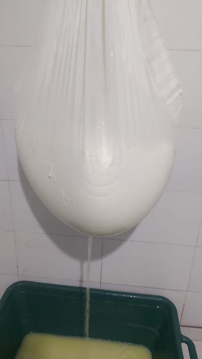 Telemea de oaie si telemea de capra
