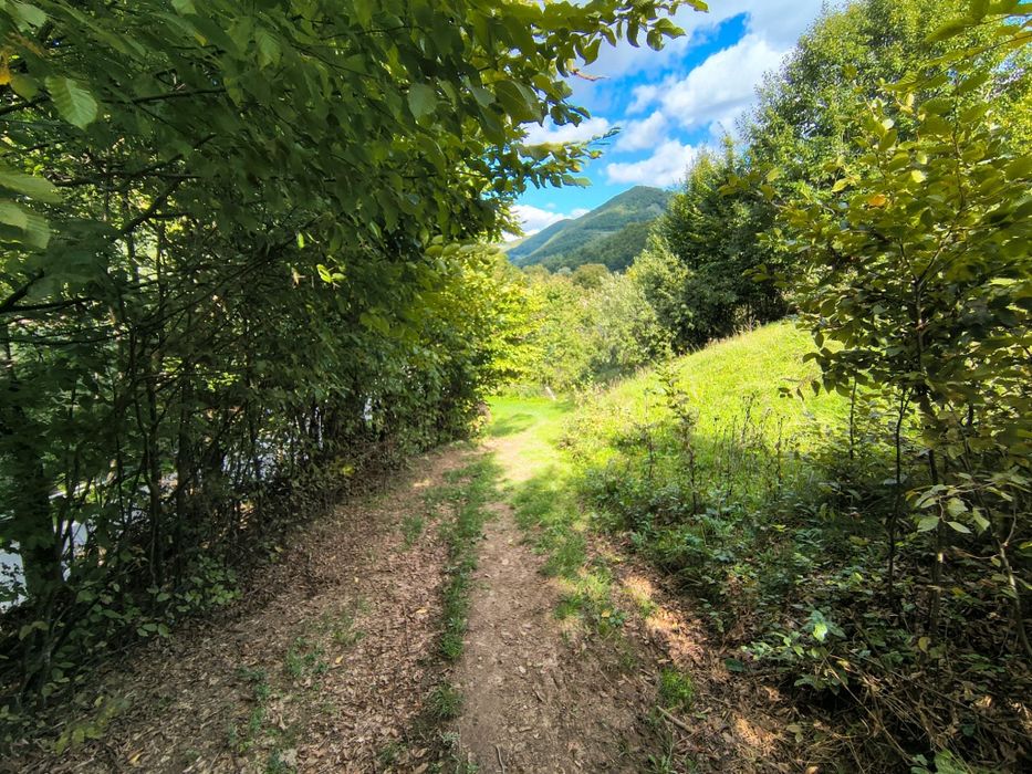 Vând teren intravilan Remeti