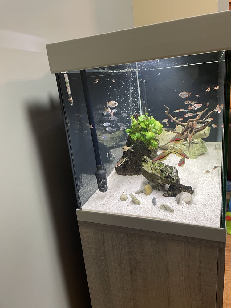 Аквариум Eheim Viva Led 180