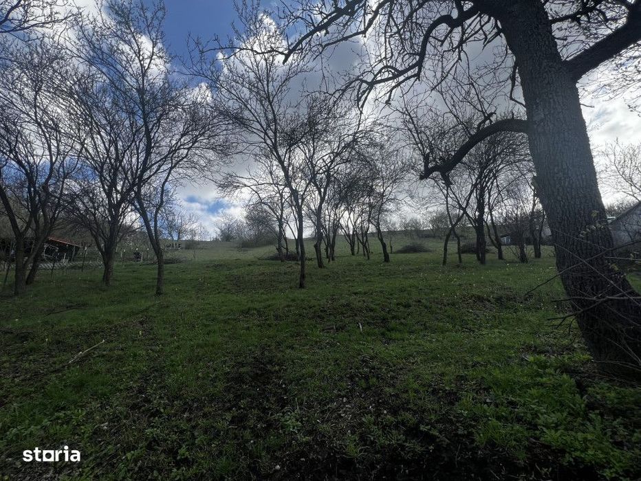 Teren intravilan, 2800 mp, Popesti Deal