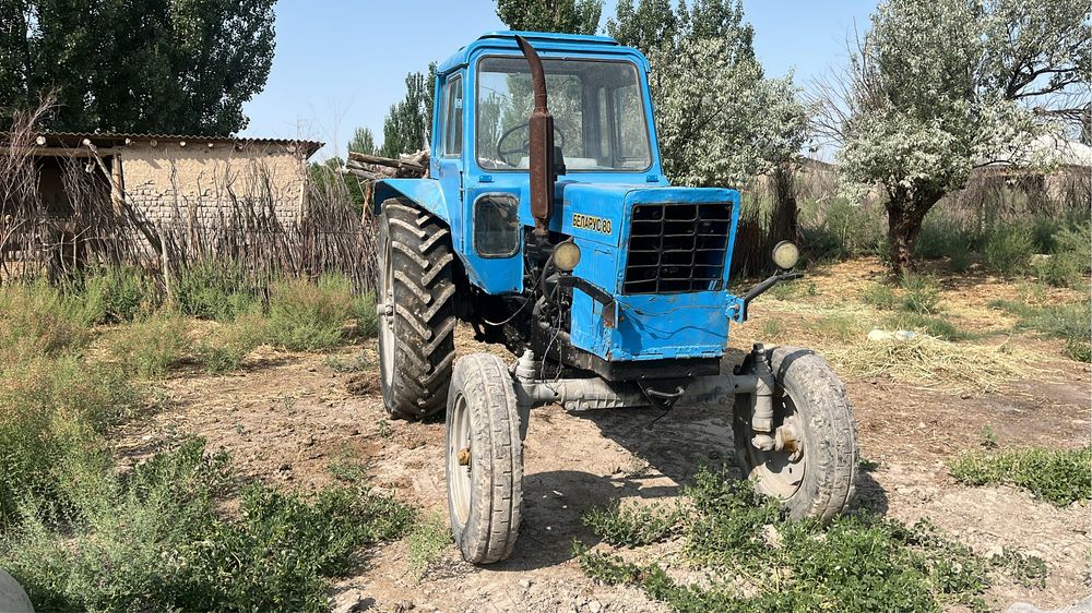 Трактор 80 беларус срочна