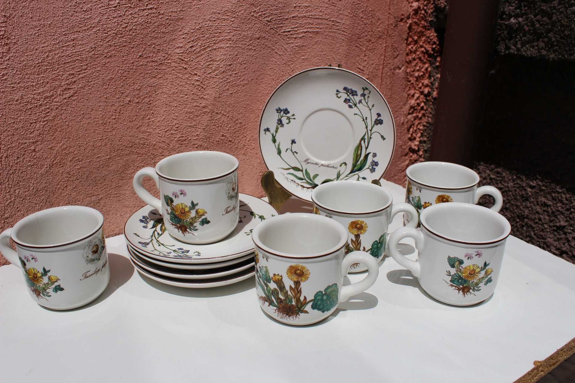 Set portelan colectie 6 persoane VILLEROY & BOCH, BOTANICA