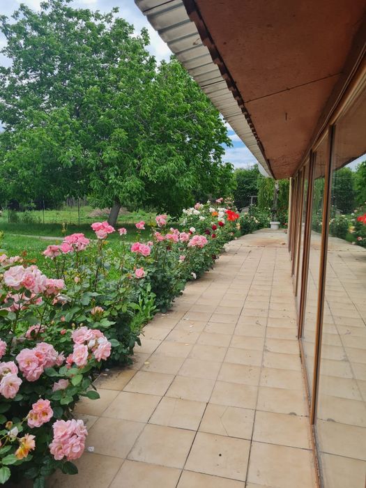 Proprietar vând imobil