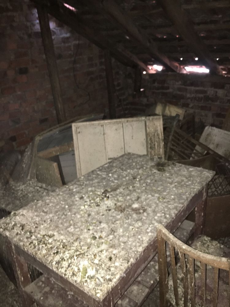 Хамалски Услуги Ниски Цени