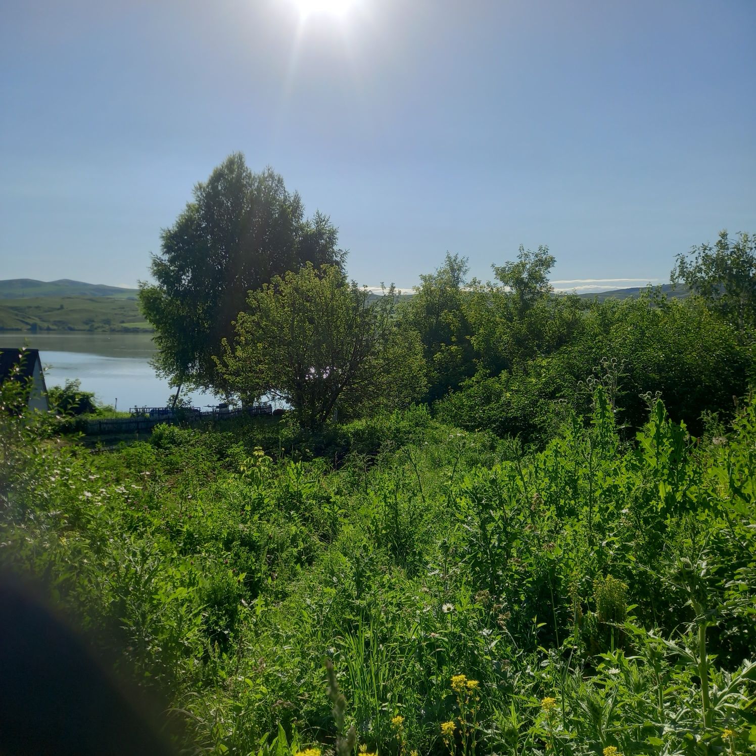 Продам Дачу на берегу Иртыша