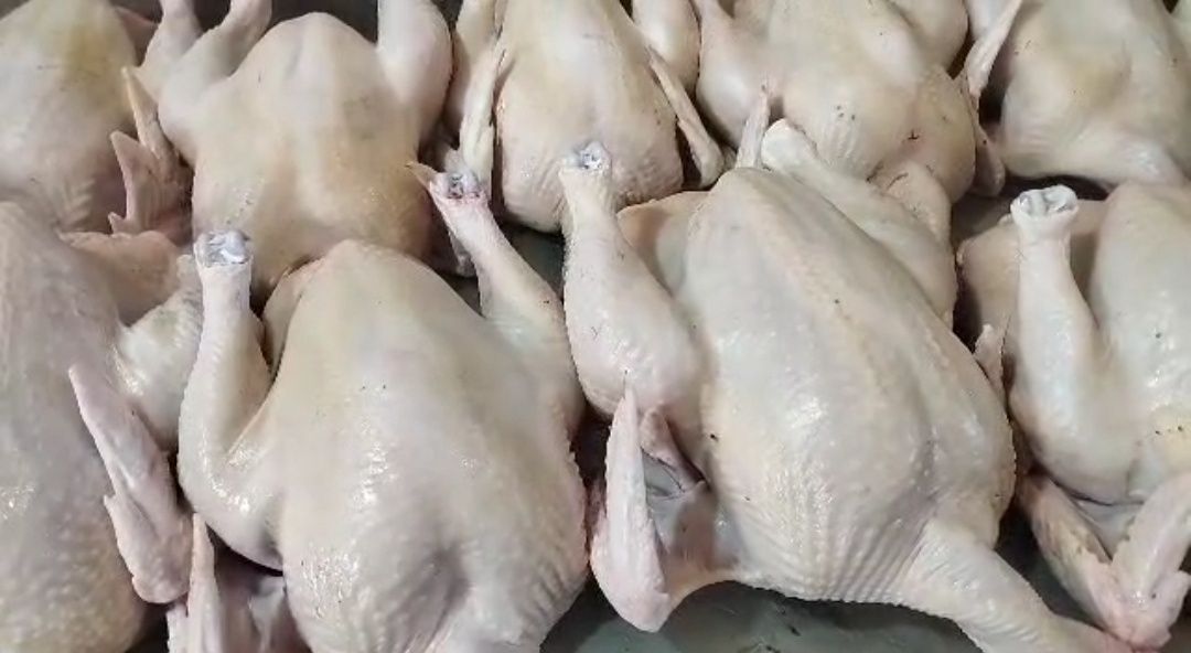 Мясо домашнего бройлера