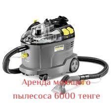 Моющий пылесос и пароочиститель