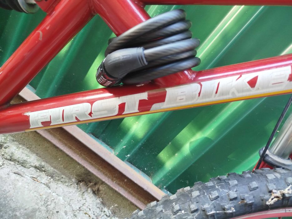 Bicicleta MTB full suspension Raptor First Bike Design