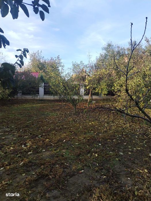 Vand teren si  casa veche Moara Vlasiei