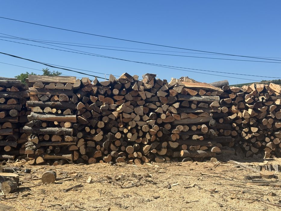 Vand lemne de fag si brad