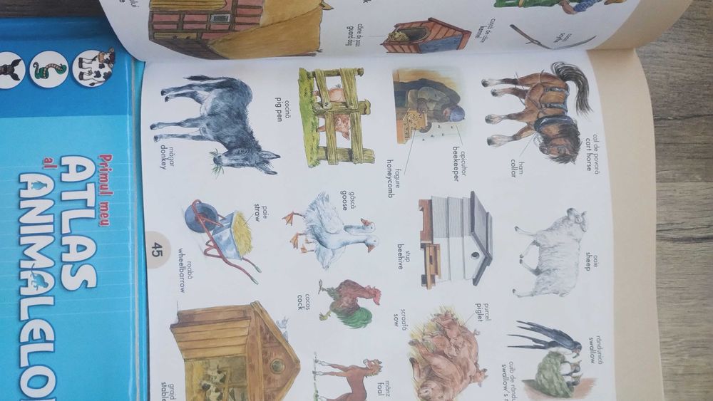 Lot 4 cărți pentru copii