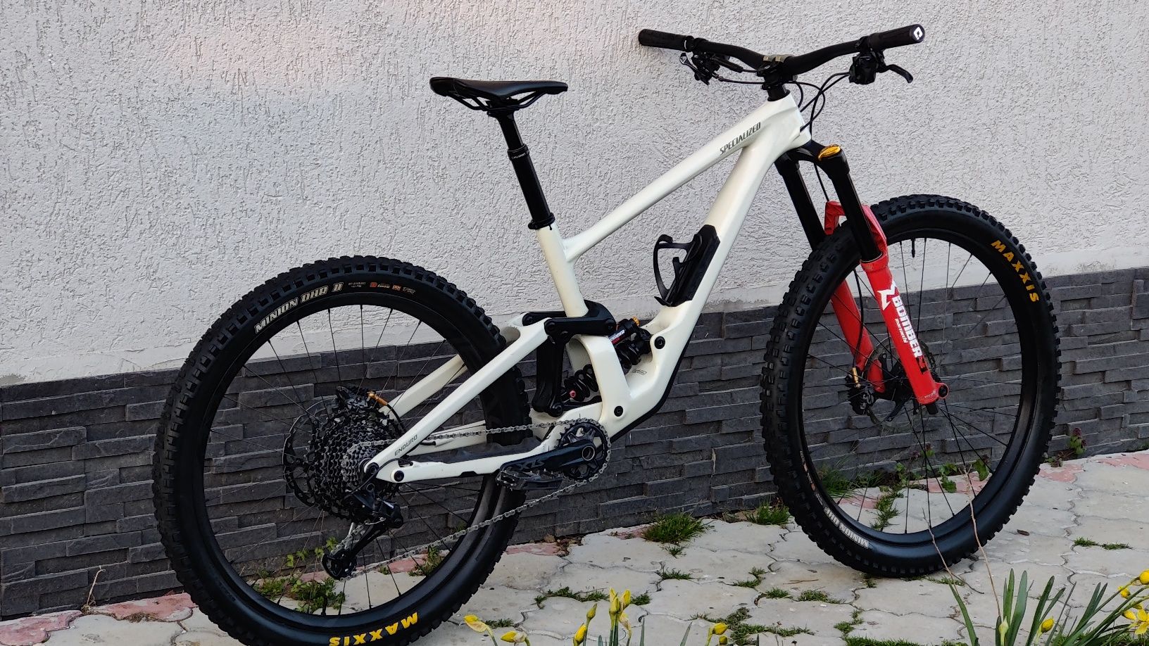 Specialized Enduro Elite 2021 custom