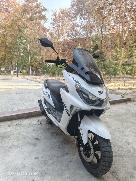 Tiger srochna sotiladi