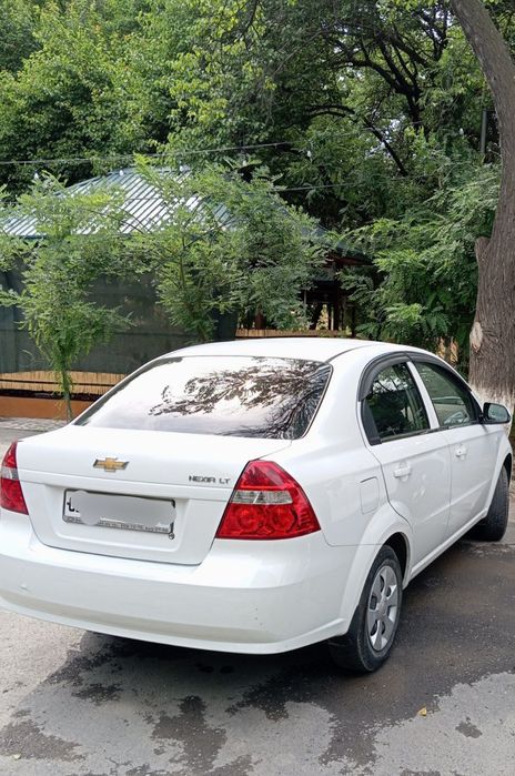 Nexia 3            2019