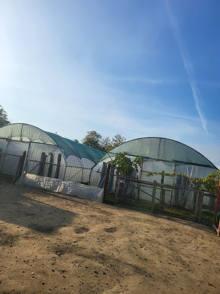 Vand solarii intretinute