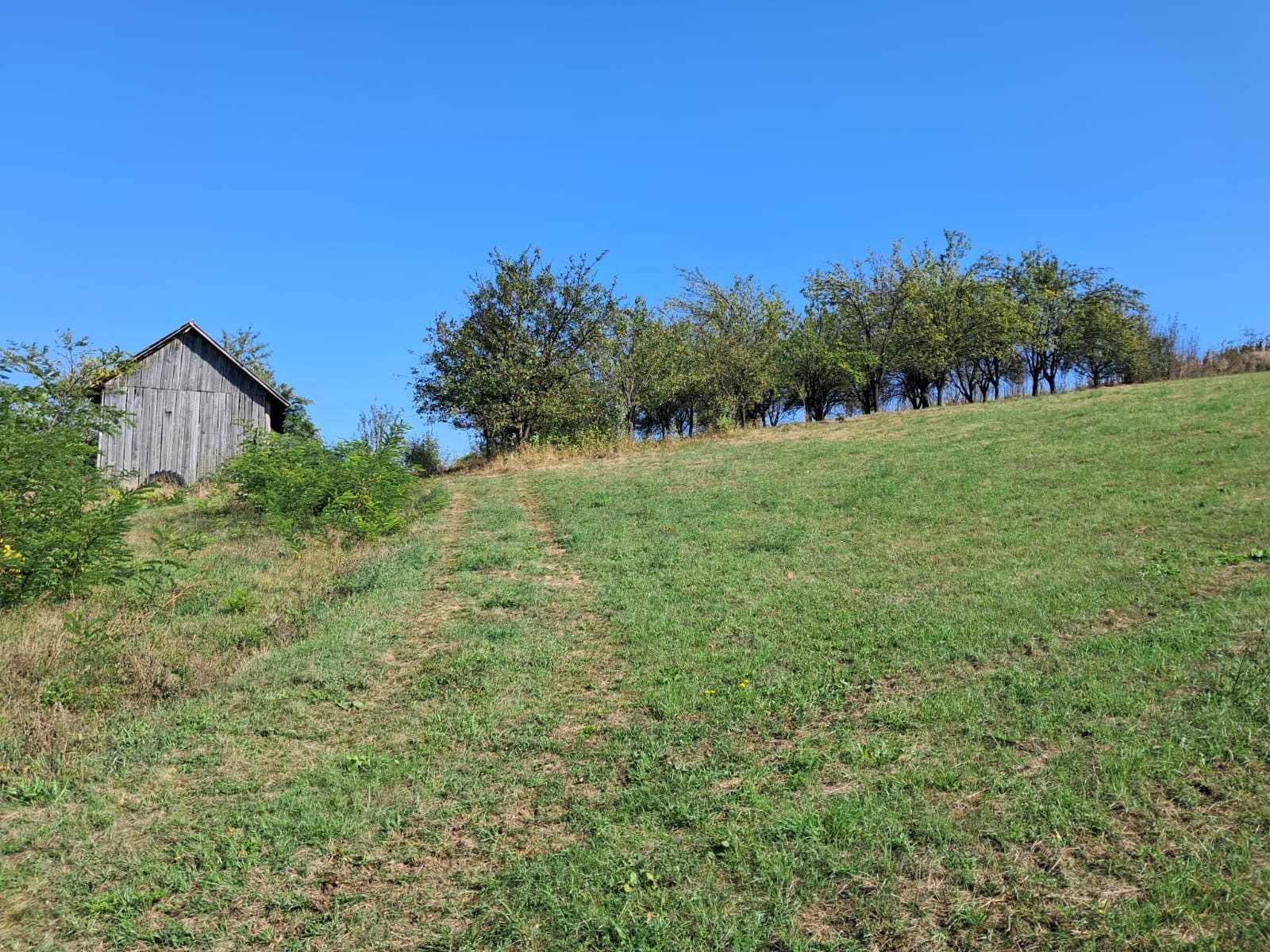 Teren intravilan de vanzare - Caianu, judetul Cluj