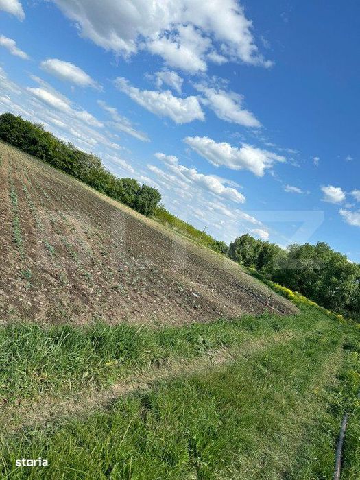 Teren 4800 mp ideal pentru investit, zona Radauti