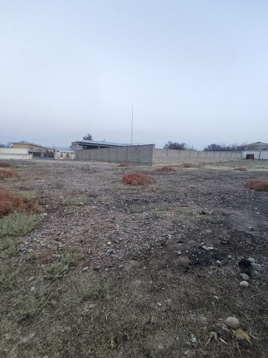 Noturarjoy 0.3110 sotix