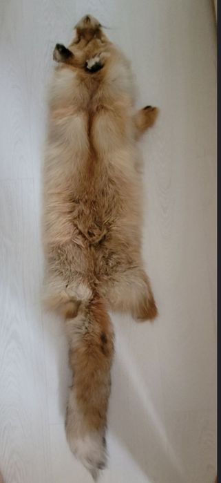 Мех натуральный, лиса