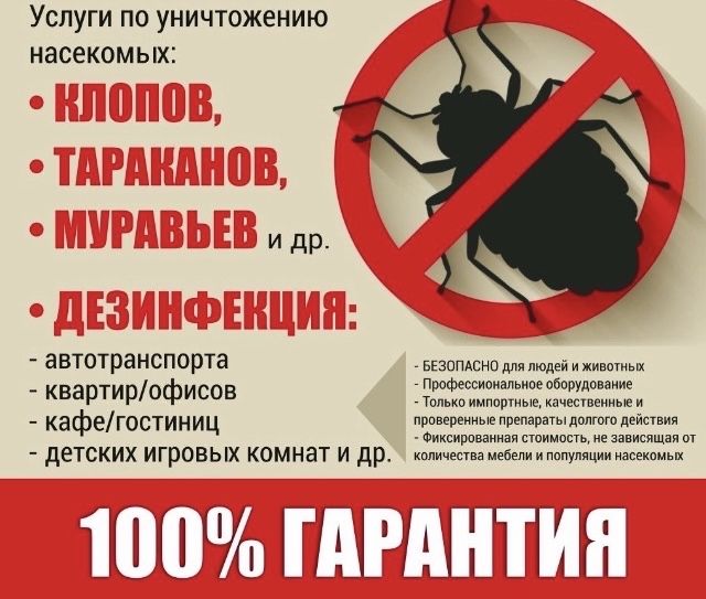 Дезинфекция в Шымкенте от клопов, тараканов кандалаГарантия результата