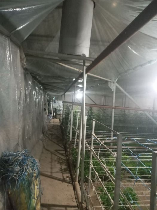 Выдается в аренду