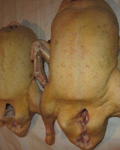 Мясо индоуток и уток тушками молодое нежное