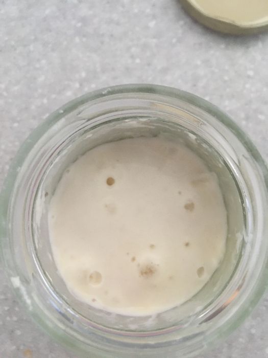 Пшеничная бездрожжевая  закваска свежая