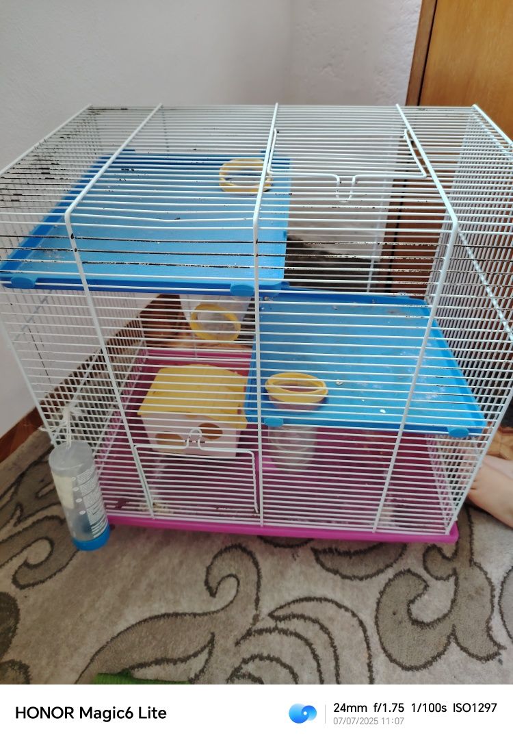 Cușcă hamster plus accesorii