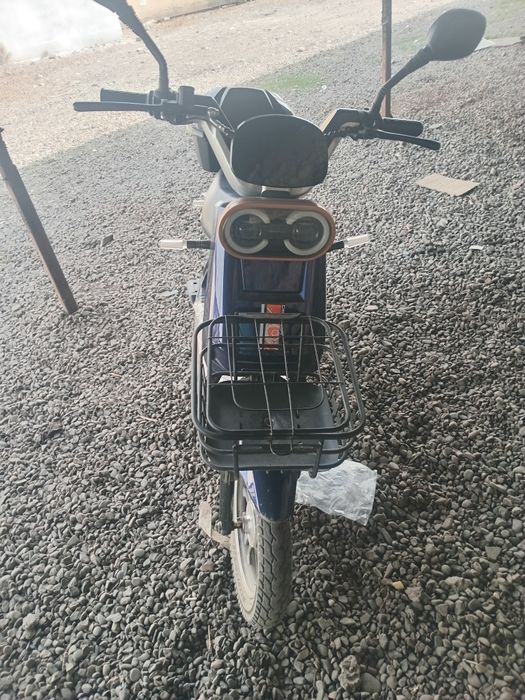 Skater Sotiladi kami bor