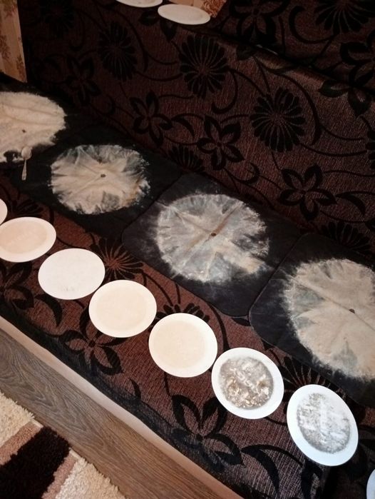 Oferim servicii de curățenie de maxima  calitate la case, apartamente.