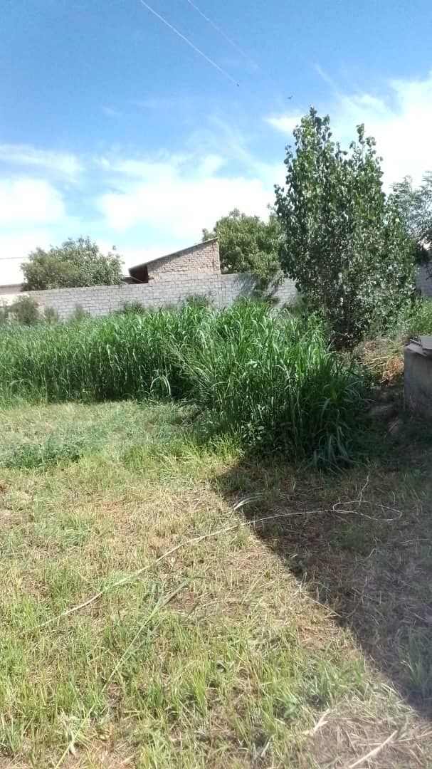 Uchastka sotiladi 8sotix