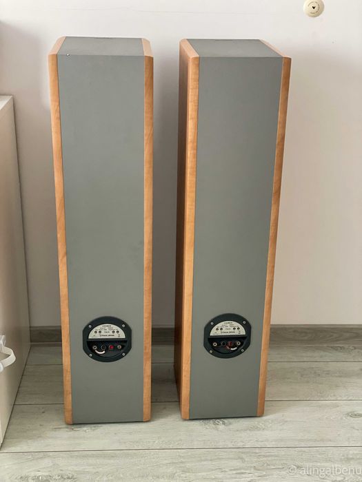Boxe Focal Chorus 716 S