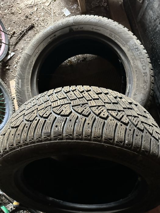 Дөңгелек сатамын