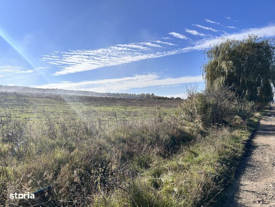 Teren Cighir extravilan 5 ha - 25 ha / 700 EURO AR