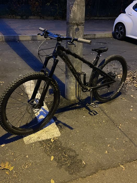 Dartmoor hornet 2023