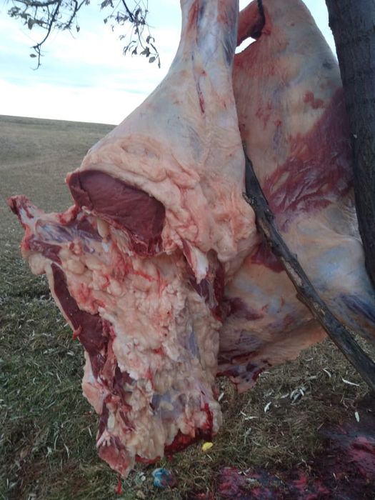 Продам свежее мясо