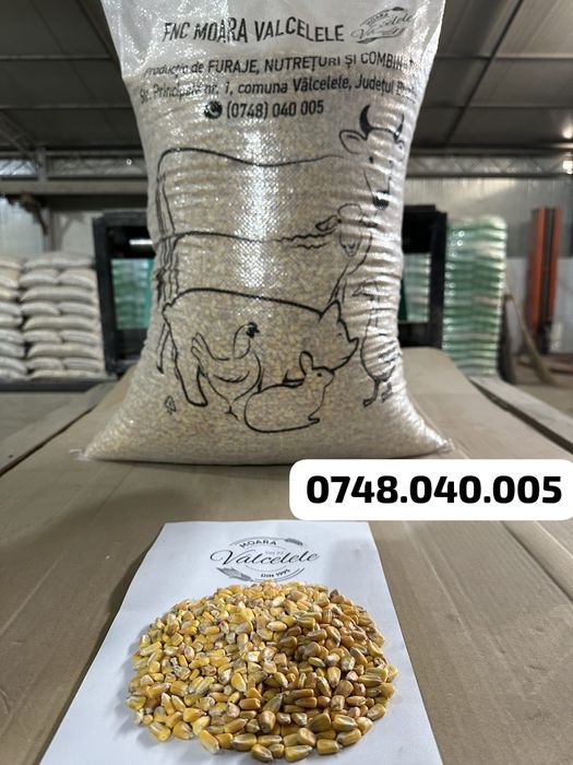 Porumb, Urluiala, Amestec boabe, Mazare, Spartura, Cereale ambalate