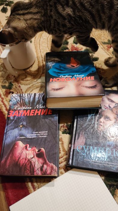 Сумерки книги в хорошем состоянии