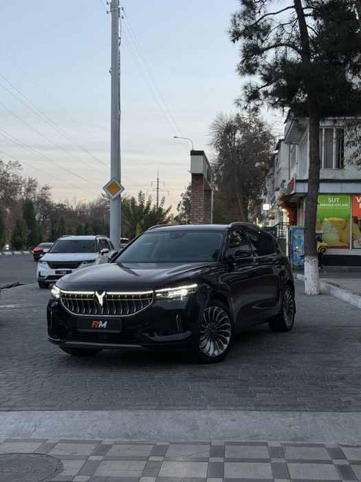 Voya free poolniy full elektr