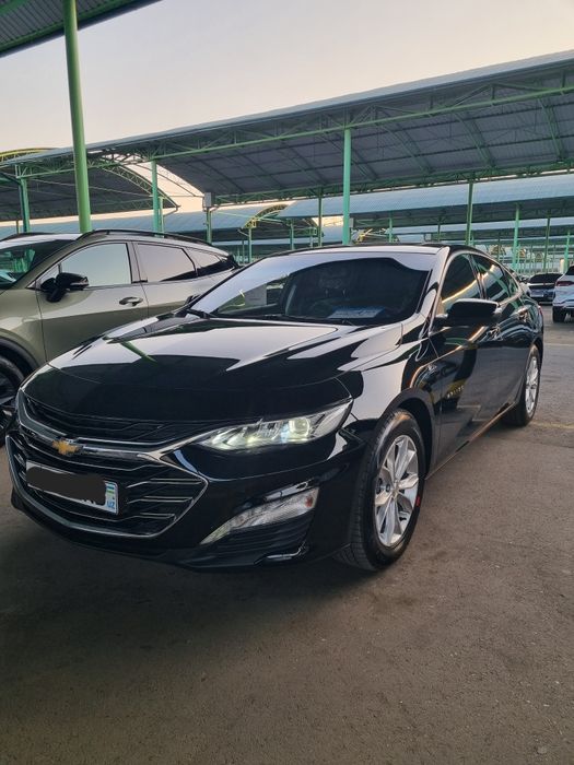 Malibu Primier 2022