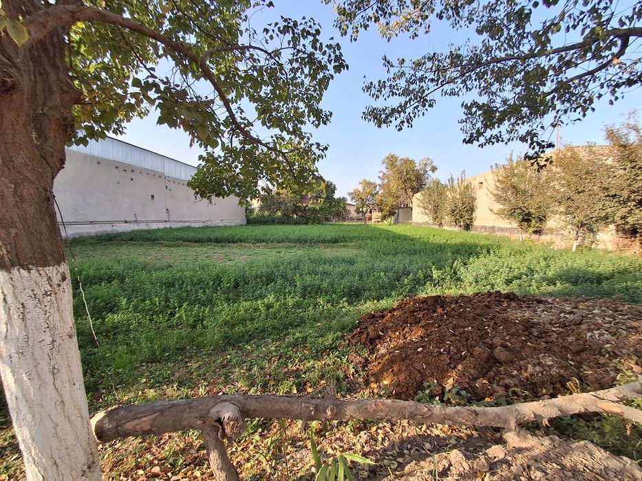 Uchastka uchun yer sotiladi