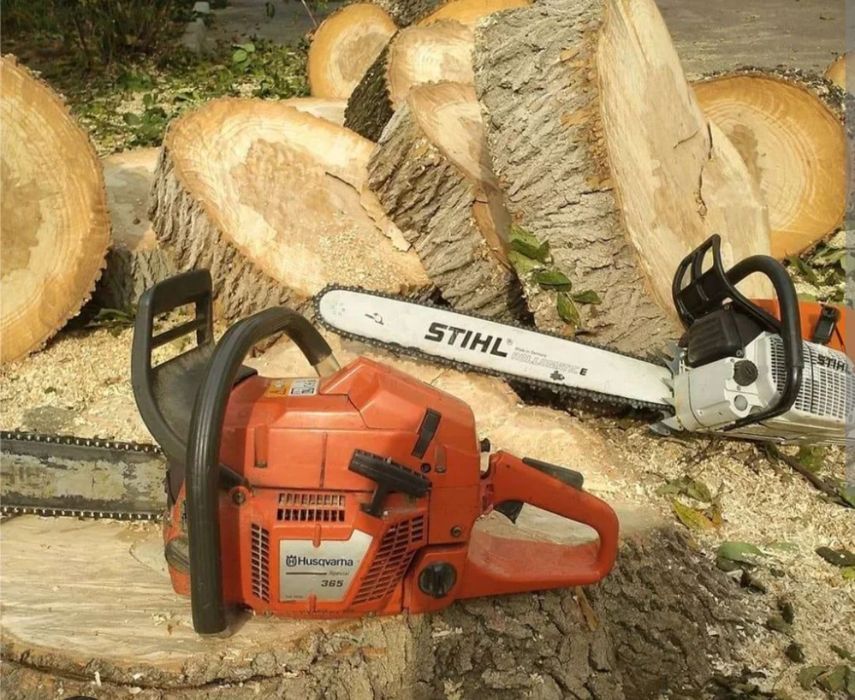 Спилка деревьев.