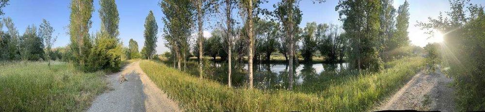 Хозяйство рыбное в Бахмальском районе Джиззакской области