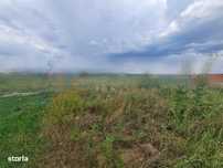 Gaminvest Teren intravilan pentru constructii  , Osorhei, Bihor,V4174
