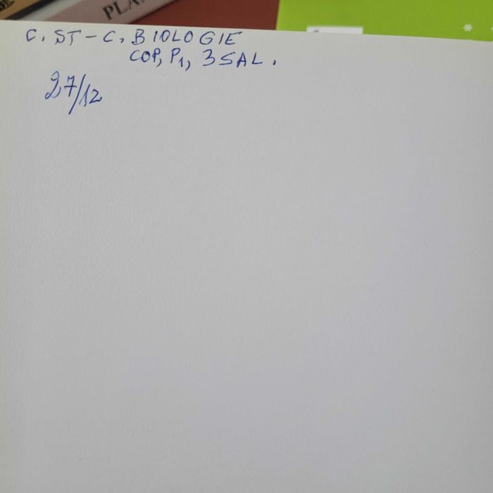 Pachet 5 cărți Dictionarul Dumont